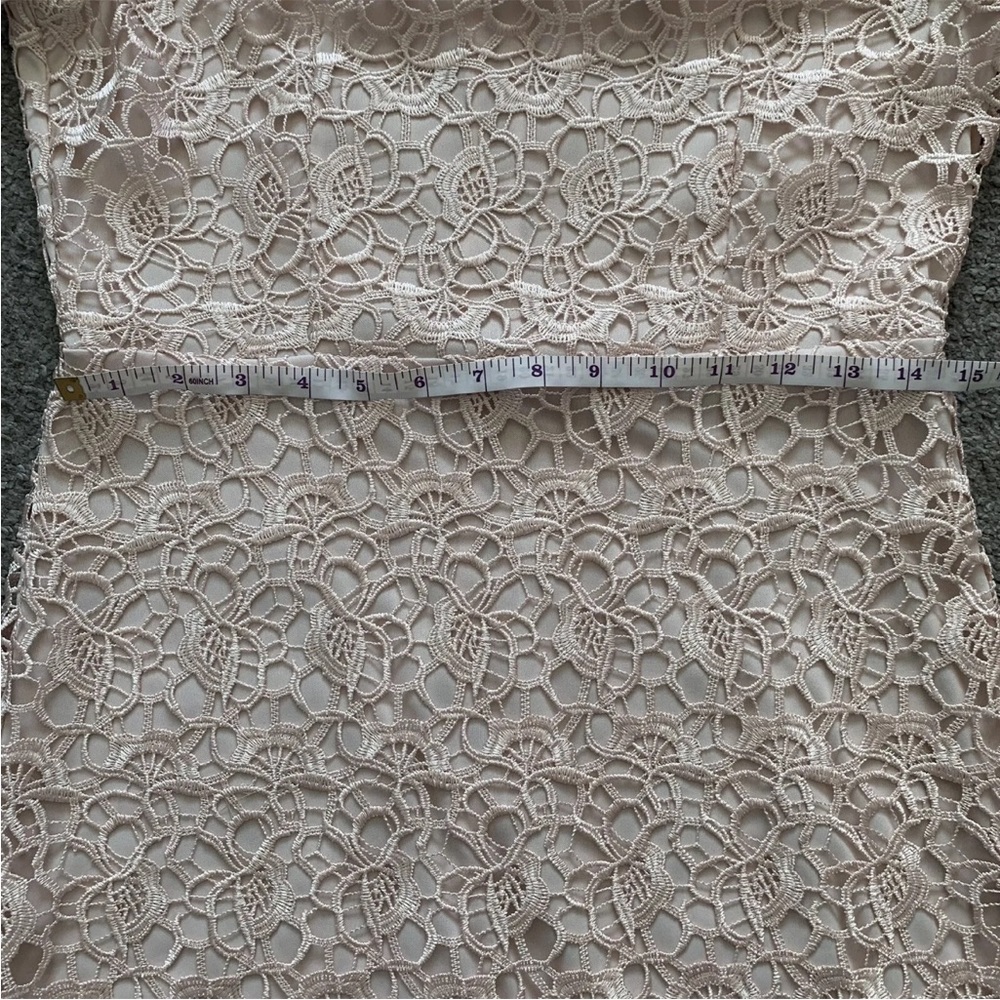 Coast Lace Shift Mini Dress Size 16 Short Sleeve Blush Pink Back Zip - Picture 6 of 12